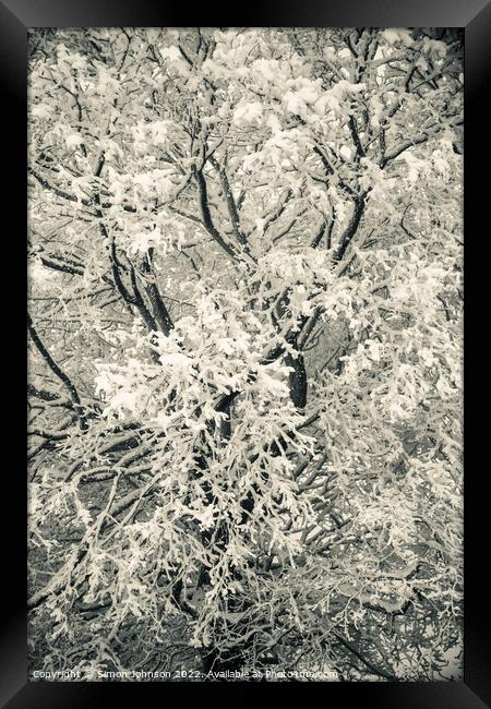 Tree scape with hoar frost  Framed Print by Simon Johnson