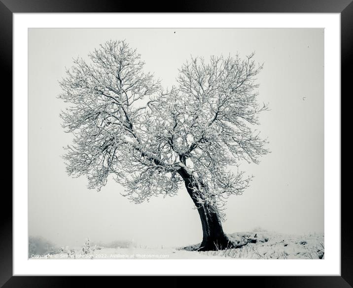 Frosted Tree Framed Mounted Print by Simon Johnson