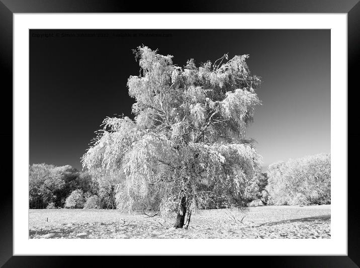 Frosted tree with snow  Framed Mounted Print by Simon Johnson