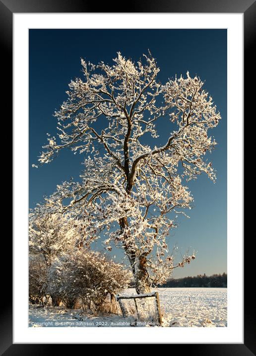 Frosty tree Framed Mounted Print by Simon Johnson