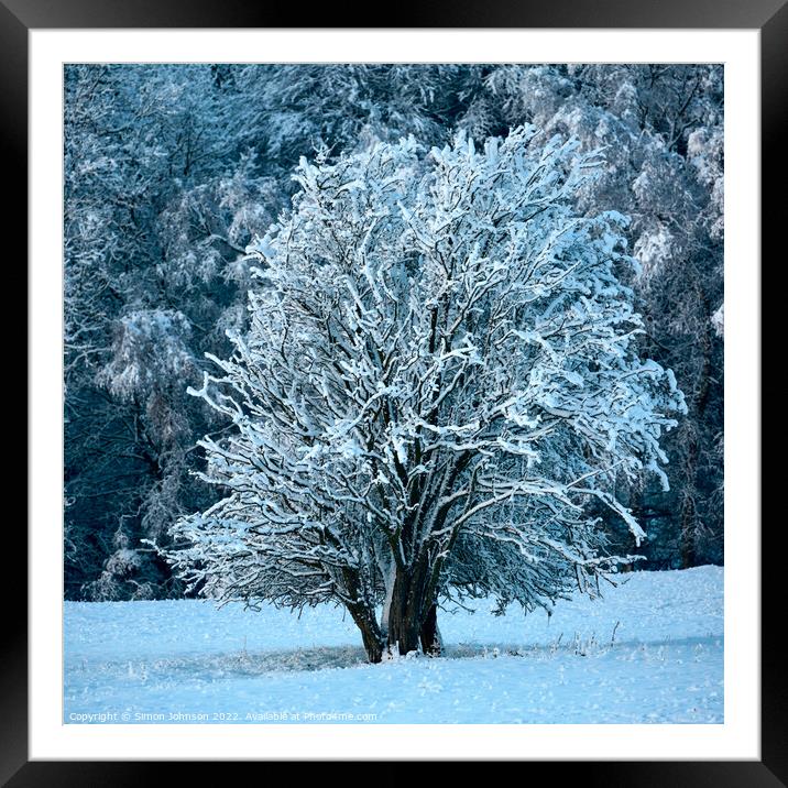 Frosted tree in Snow Framed Mounted Print by Simon Johnson