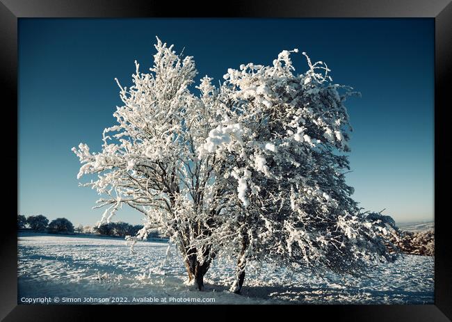 frosted tree Framed Print by Simon Johnson