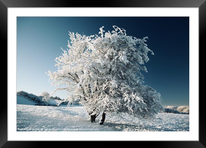 frosted  tree Framed Mounted Print by Simon Johnson