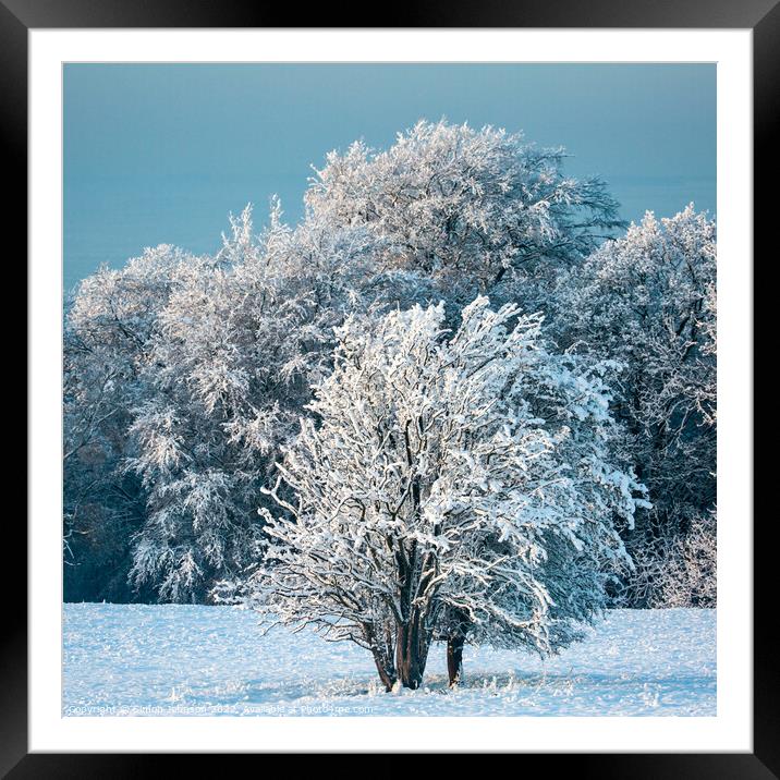 Snow scene  Framed Mounted Print by Simon Johnson