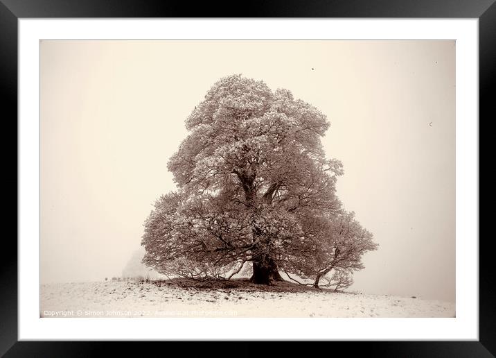 Frosted  tree sepia Framed Mounted Print by Simon Johnson