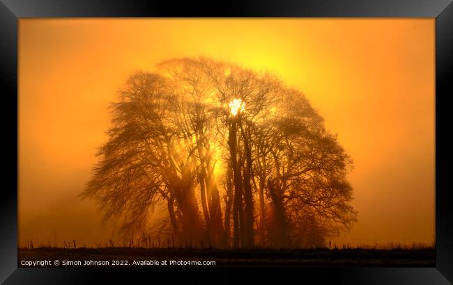 Mist sun, and Trees Framed Print by Simon Johnson