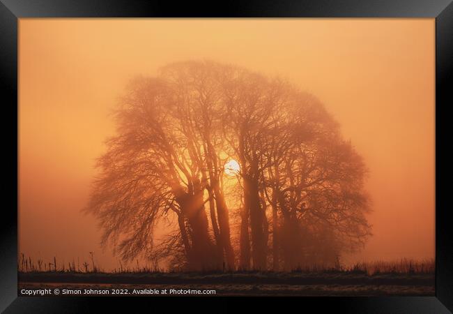 Misty trees and sun Framed Print by Simon Johnson
