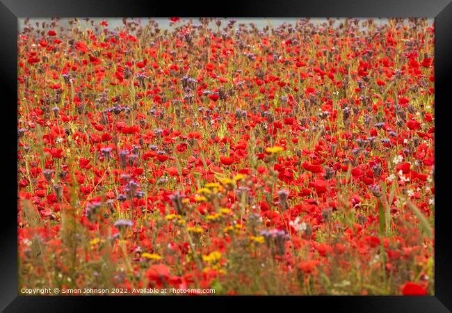 Summer poppy field Framed Print by Simon Johnson