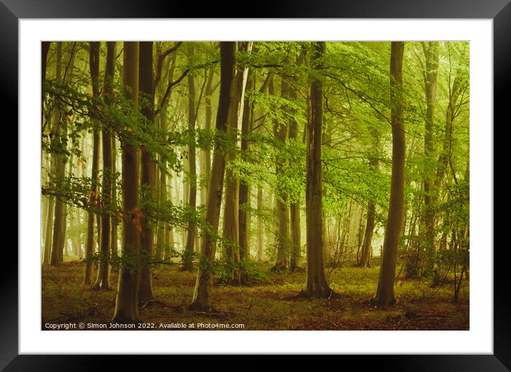 misty Woodland Framed Mounted Print by Simon Johnson