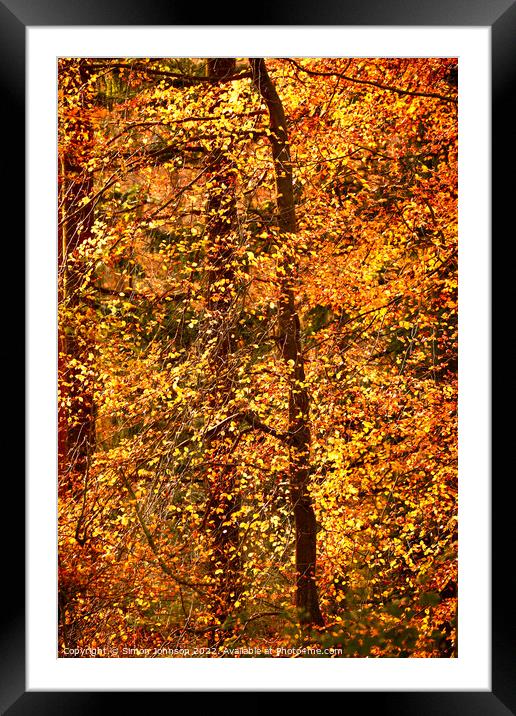Autumn Fire Framed Mounted Print by Simon Johnson