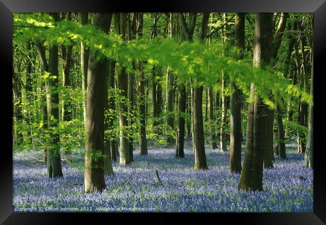 Bluebell Wood Framed Print by Simon Johnson