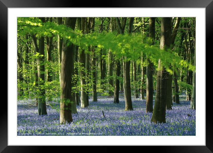 Bluebell Wood Framed Mounted Print by Simon Johnson