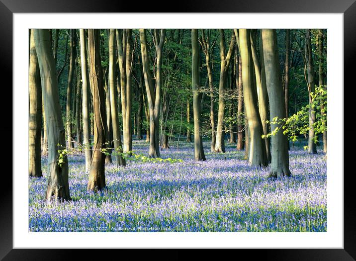 Bluebell woodland  Framed Mounted Print by Simon Johnson