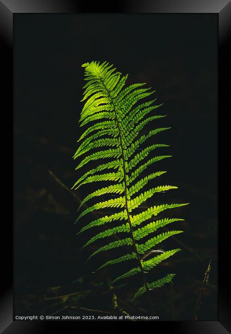 luminous fern Framed Print by Simon Johnson