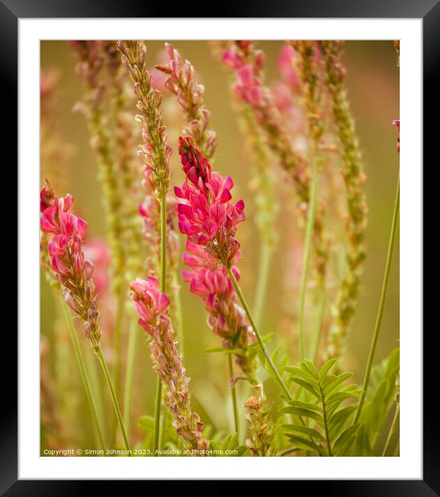 Meadow grass  Framed Mounted Print by Simon Johnson