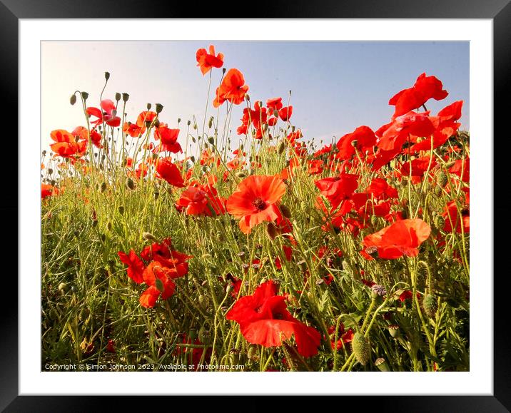 Outdoor field Framed Mounted Print by Simon Johnson