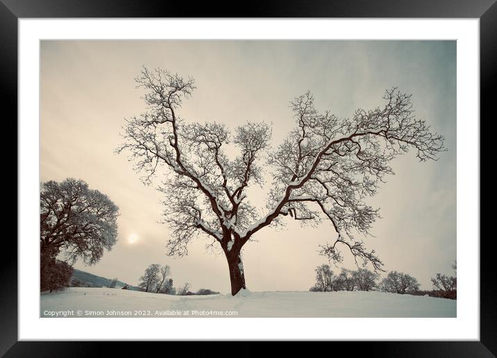 Winter tree Framed Mounted Print by Simon Johnson