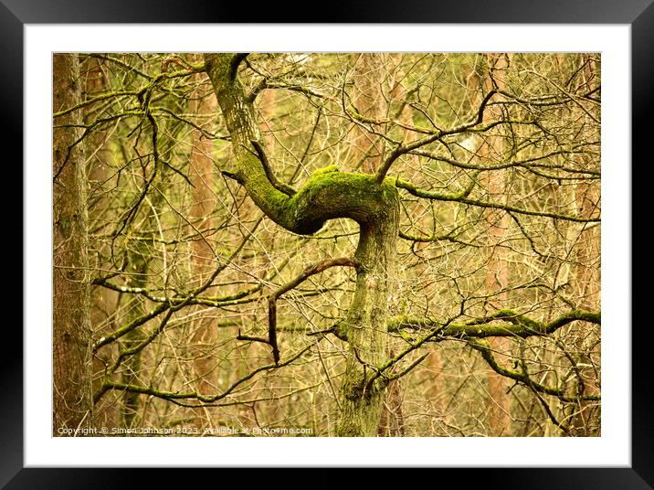Woodland Architecture  Framed Mounted Print by Simon Johnson