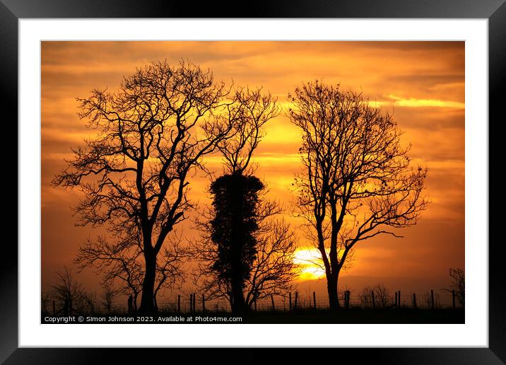 Tree silhouettes at sunrise Framed Mounted Print by Simon Johnson