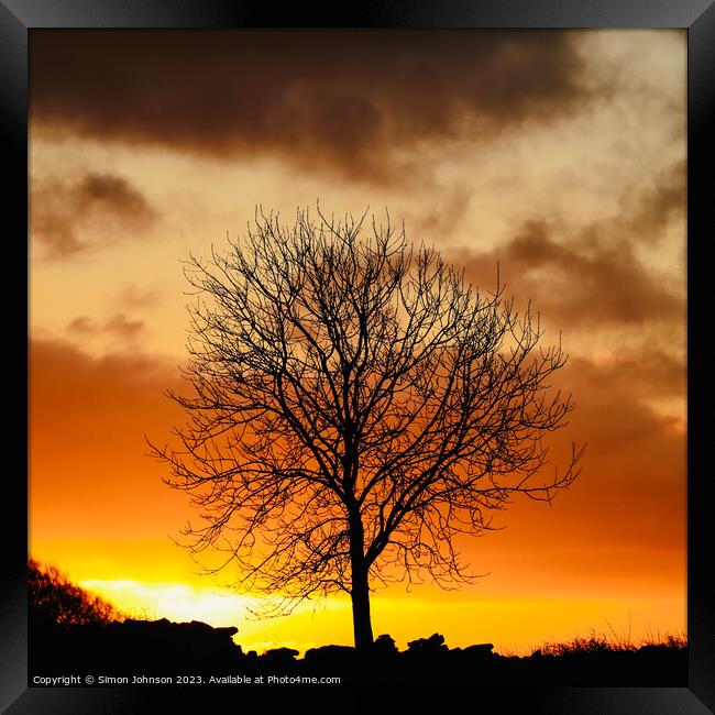 Tree Silhouette  Framed Print by Simon Johnson