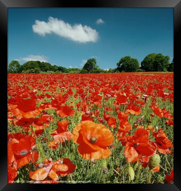 Cotswolds Poppy field Framed Print by Simon Johnson