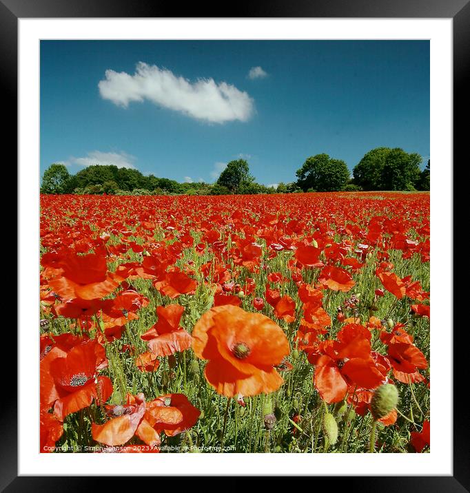 Cotswolds Poppy field Framed Mounted Print by Simon Johnson