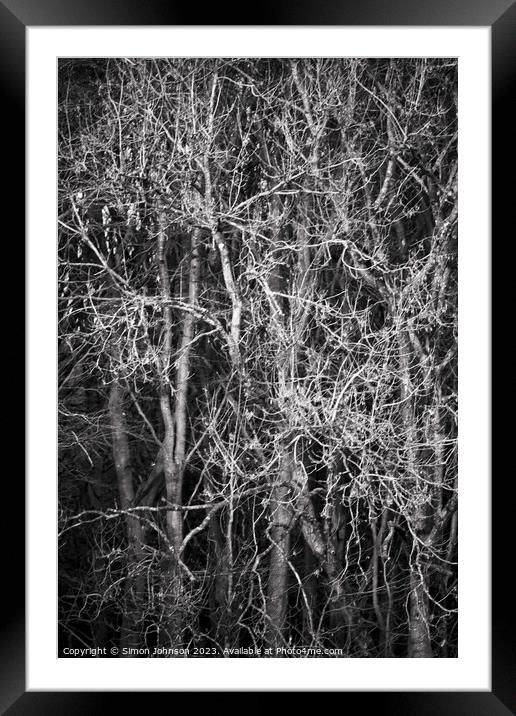 Sunlit branches monochrome  Framed Mounted Print by Simon Johnson