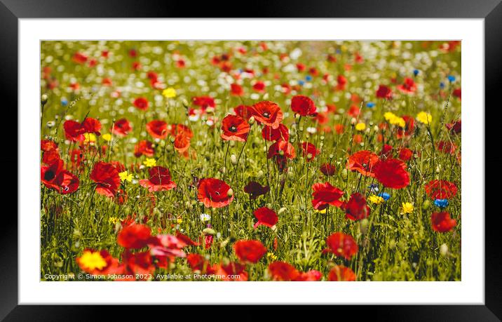 poppy  field Framed Mounted Print by Simon Johnson