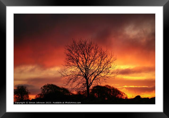 tree silhouette at sunrise Framed Mounted Print by Simon Johnson