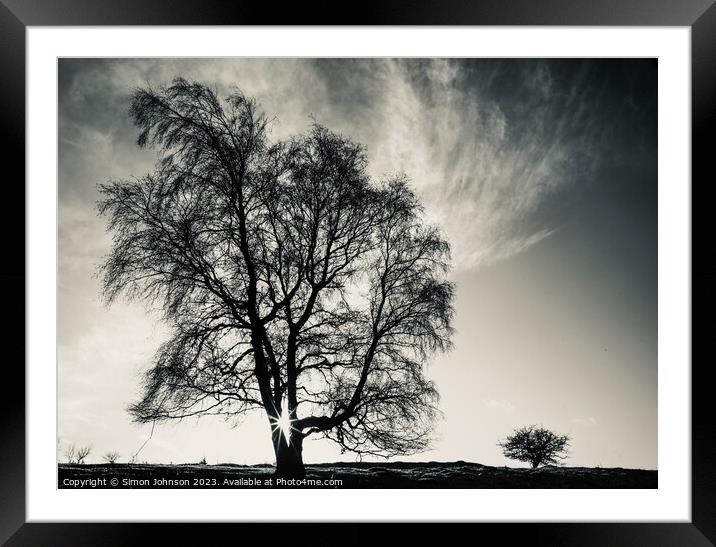 Big tree, Little tree Framed Mounted Print by Simon Johnson