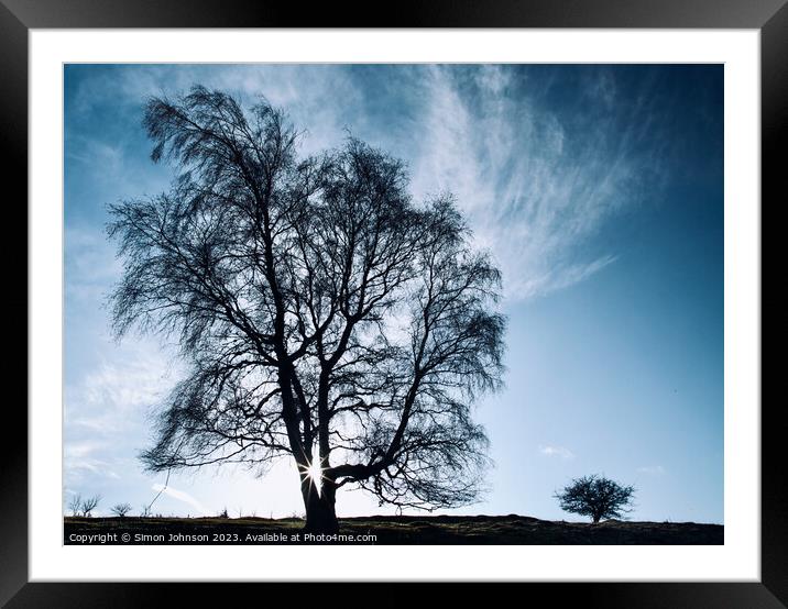 Big tree little tree Framed Mounted Print by Simon Johnson