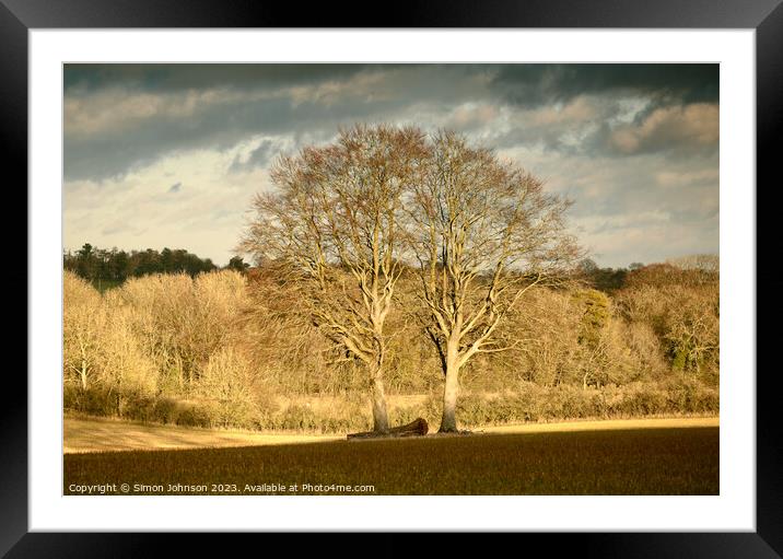 Cotswolds Trees  Framed Mounted Print by Simon Johnson