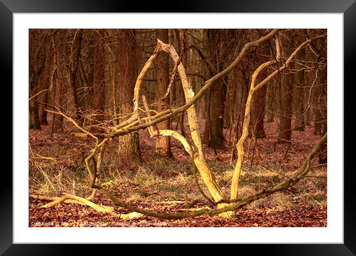 woodland shapes Framed Mounted Print by Simon Johnson