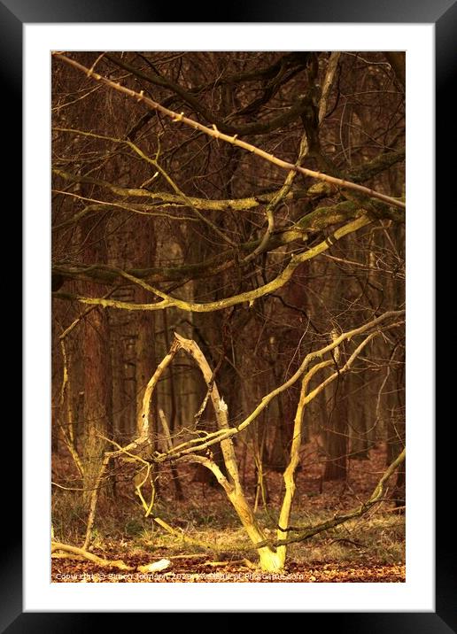 woodland shapes Framed Mounted Print by Simon Johnson