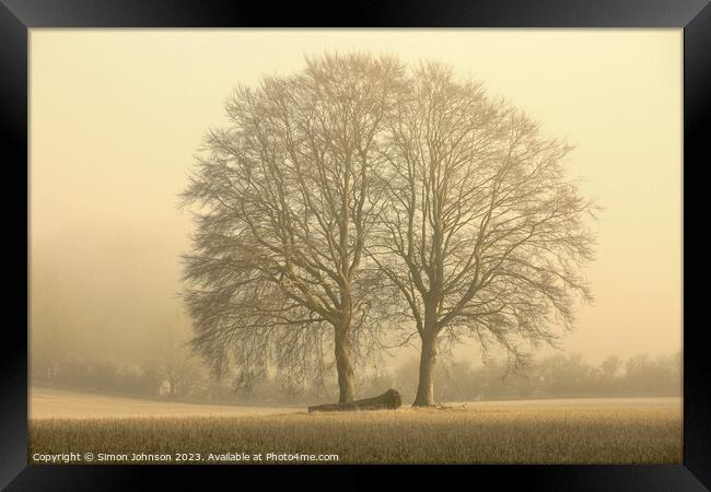 Two trees Framed Print by Simon Johnson