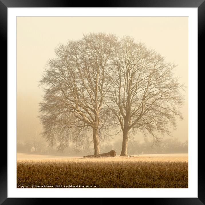 Two trees  Framed Mounted Print by Simon Johnson