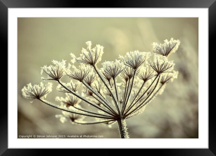 frosted grass Framed Mounted Print by Simon Johnson