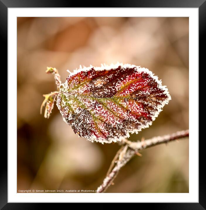 Frosted leaf close up  Framed Mounted Print by Simon Johnson
