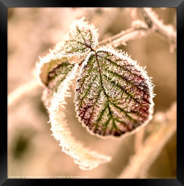 Frosted leaf Framed Print by Simon Johnson