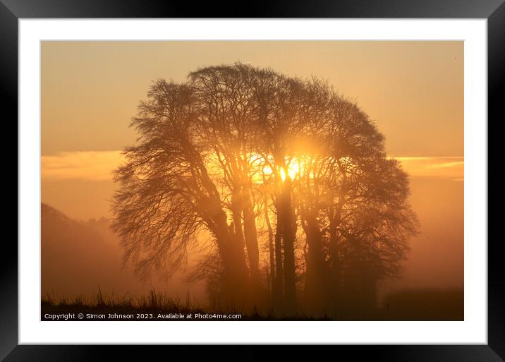 Tree silhouette against sunrise sky Framed Mounted Print by Simon Johnson