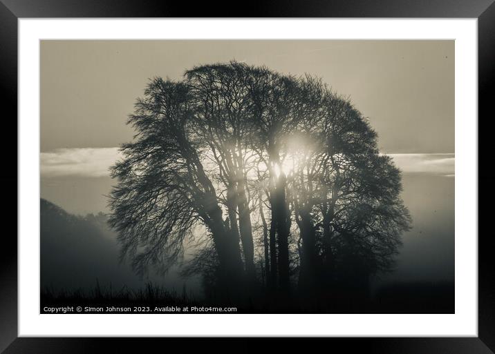 tree silhouette and sunrise monochrome  Framed Mounted Print by Simon Johnson