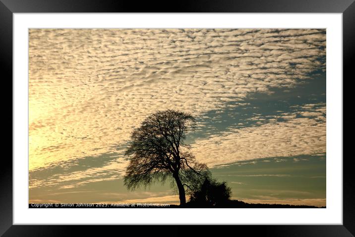 The leaning tree Framed Mounted Print by Simon Johnson