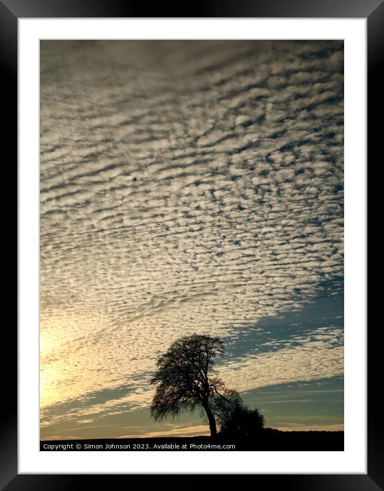 The leaning tree silhouette  Framed Mounted Print by Simon Johnson