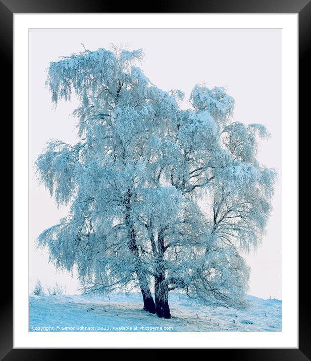 Frosted tree Framed Mounted Print by Simon Johnson
