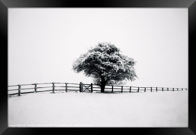 tree, snow and fence Framed Print by Simon Johnson
