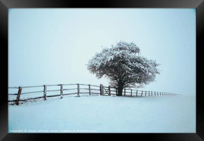 Frosted tree with fence in  snow Framed Print by Simon Johnson