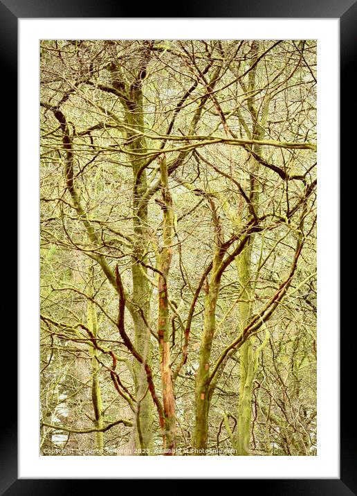 woodland architecture  Framed Mounted Print by Simon Johnson