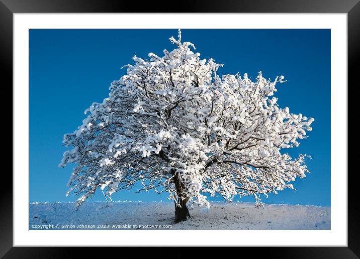 snow tree Framed Mounted Print by Simon Johnson