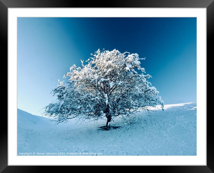 Tree with Snow  Framed Mounted Print by Simon Johnson