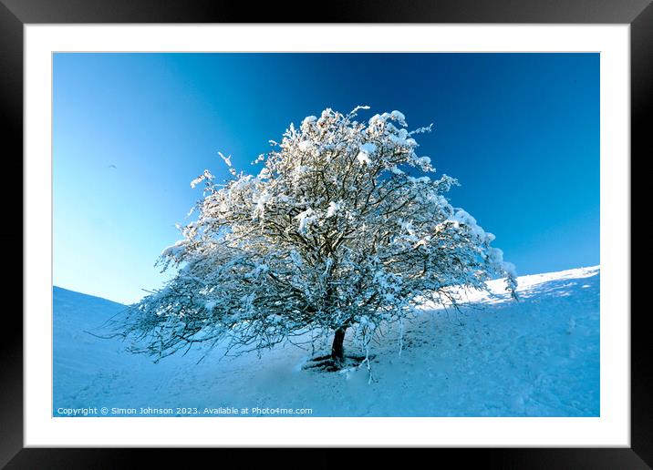 Tree with Snow  Framed Mounted Print by Simon Johnson